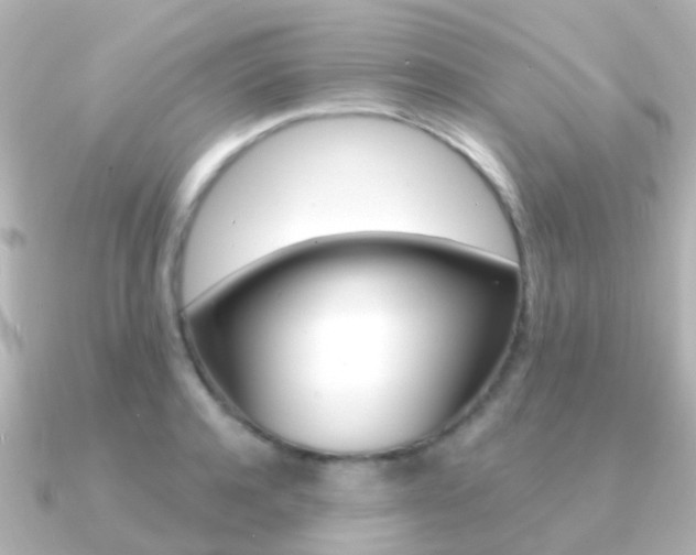 X0000091330944200708100959
