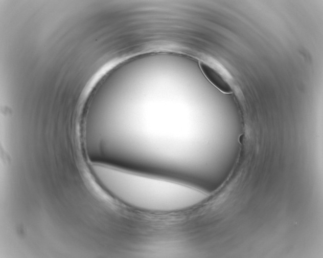 X0000091330947200708100959