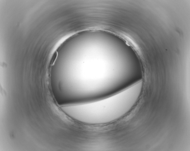 X0000091330948200708100959