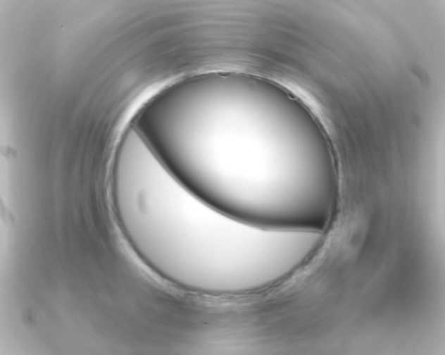 X0000091330949200708100959