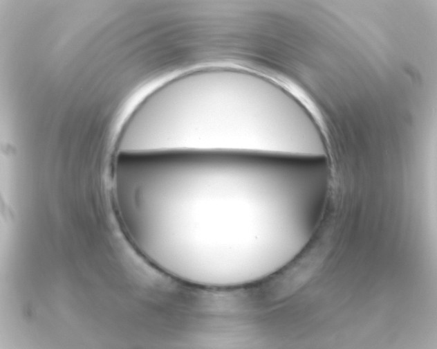 X0000091330951200708100959