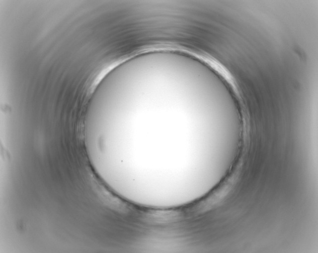 X0000091330953200708100959