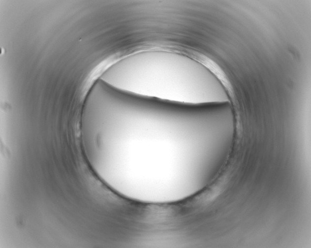 X0000091330954200708100959