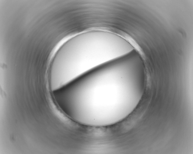 X0000091330955200708100959