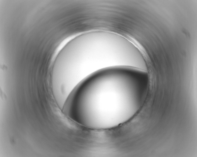 X0000091330956200708100959