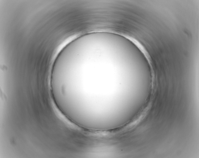 X0000091330957200708100959