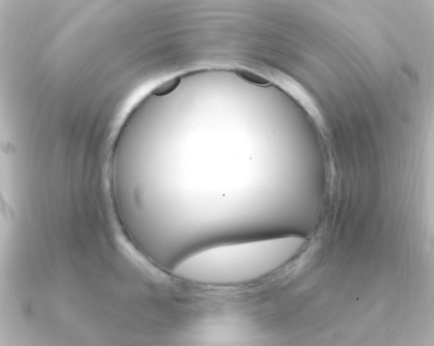 X0000091330958200708100959