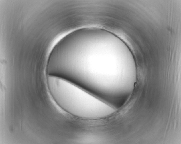 X0000091330959200708100959
