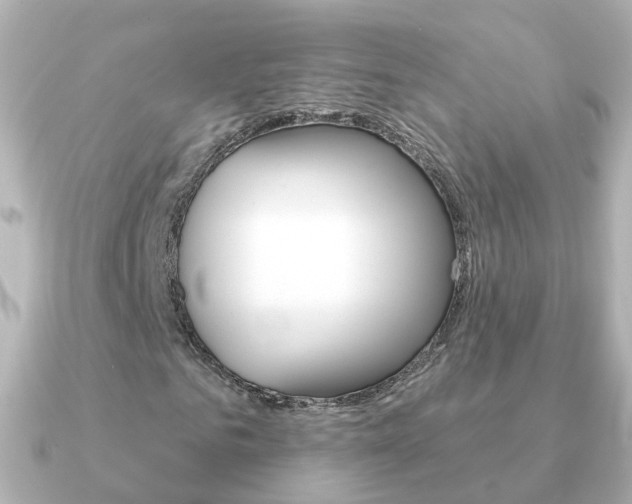 X0000091330961200708100959