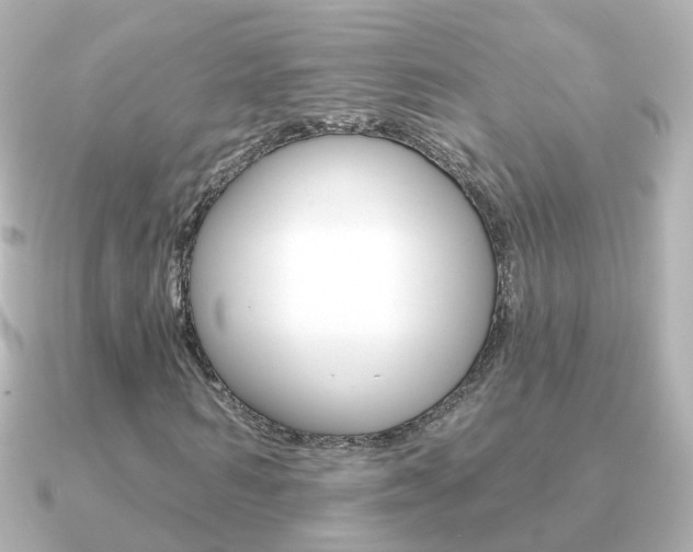 X0000091330962200708100959