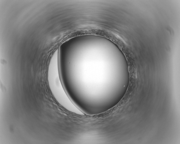 X0000091330965200708100959