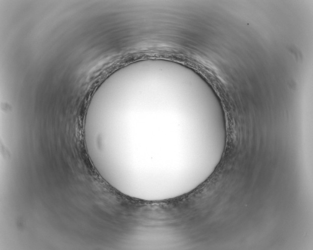 X0000091330966200708100959