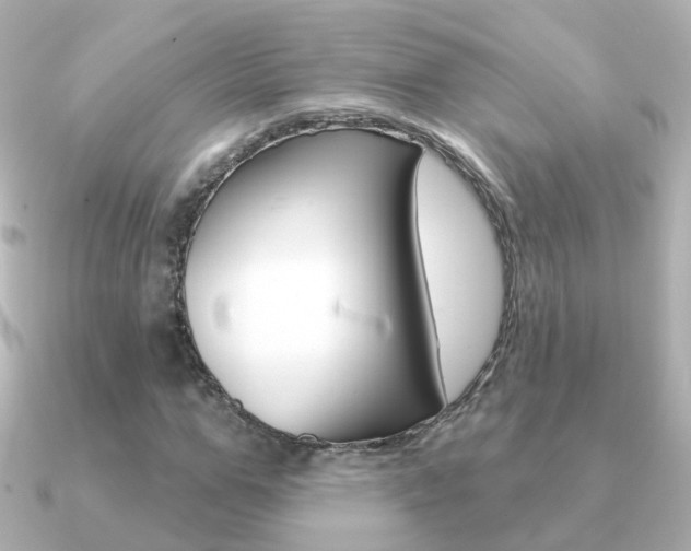 X0000091330967200708100959