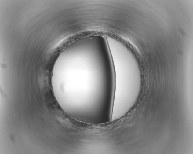 X0000091330968200708100959