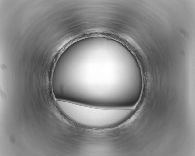 X0000091330969200708100959