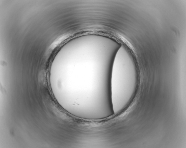X0000091330970200708100959