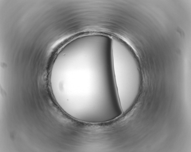 X0000091330971200708100959