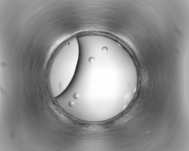 X0000091330974200708100959
