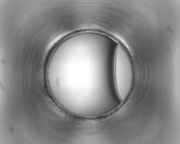X0000091330975200708100959