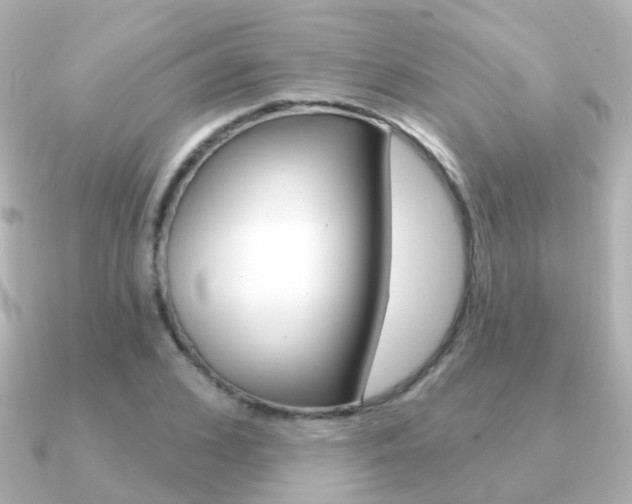X0000091330976200708100958
