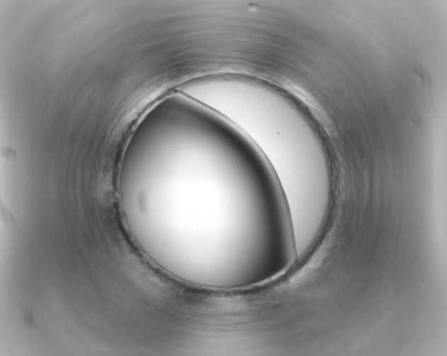 X0000091330977200708100958