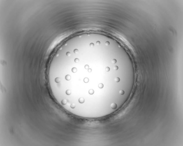 X0000091330978200708100958