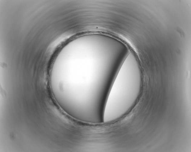X0000091330979200708100958