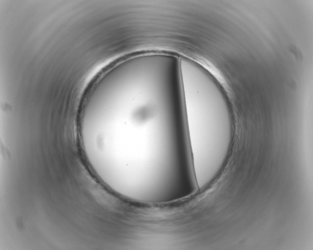 X0000091330980200708100958