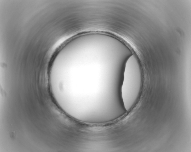 X0000091330982200708100958