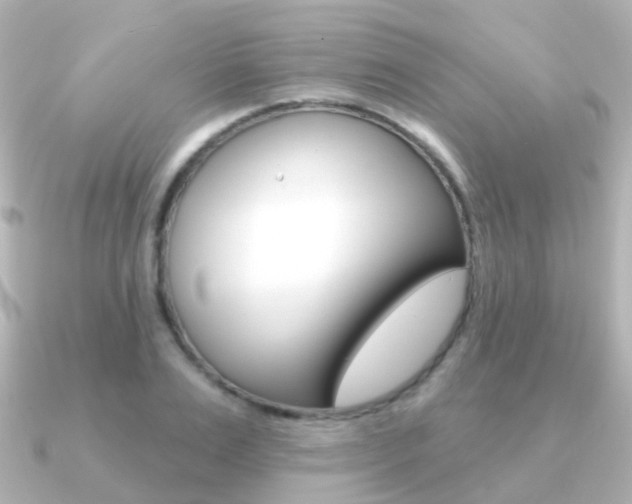 X0000091330983200708100958