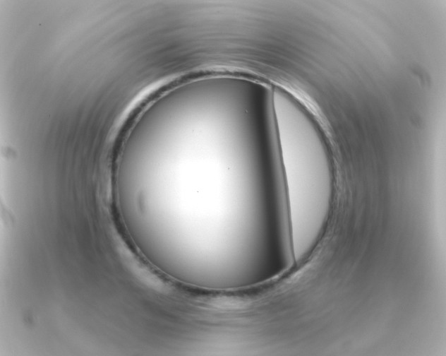 X0000091330984200708100958