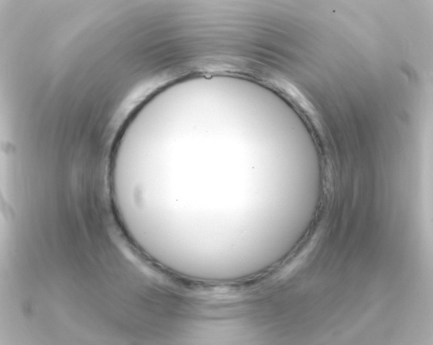 X0000091330986200708100958