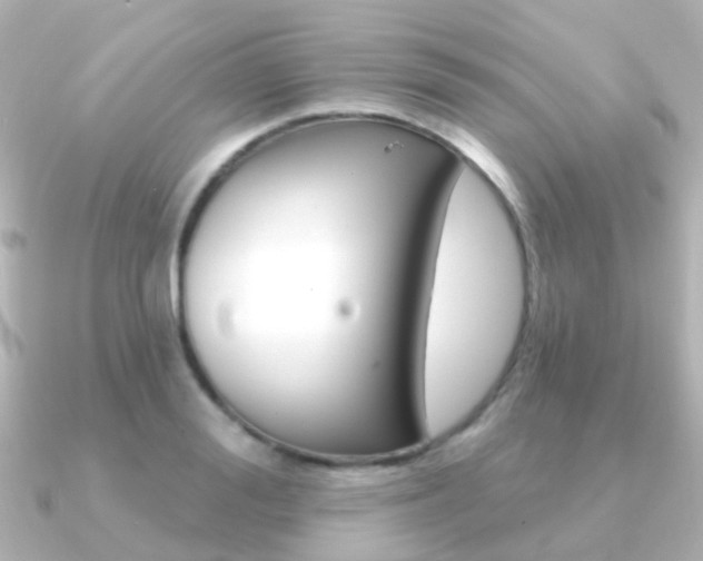 X0000091330988200708100958