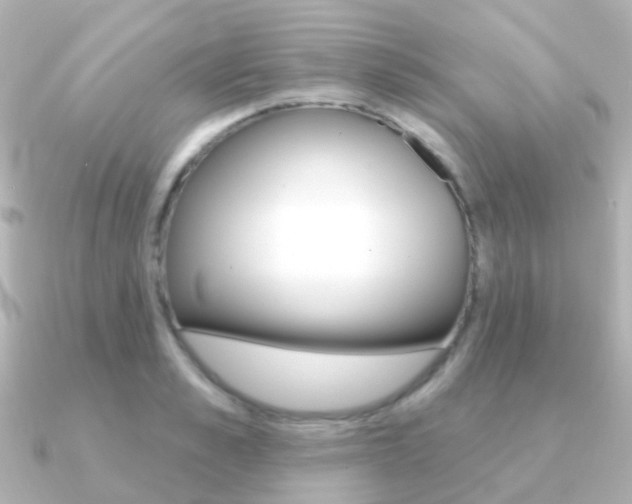 X0000091330989200708100958