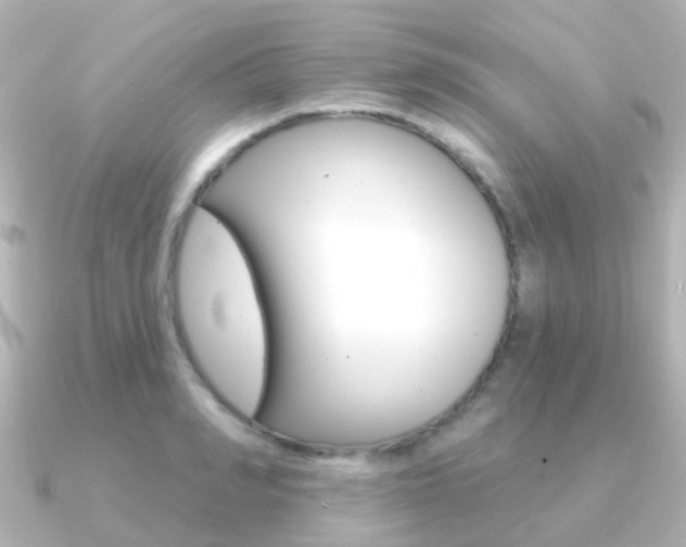 X0000091330990200708100958