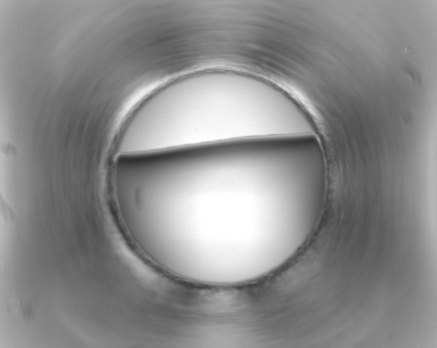 X0000091330991200708100958