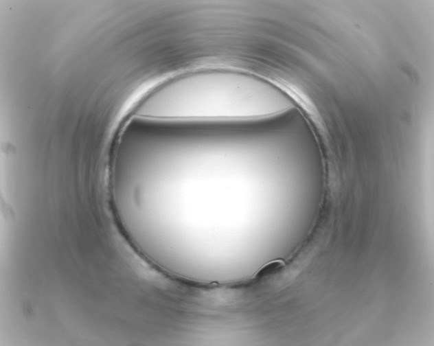 X0000091330992200708100958