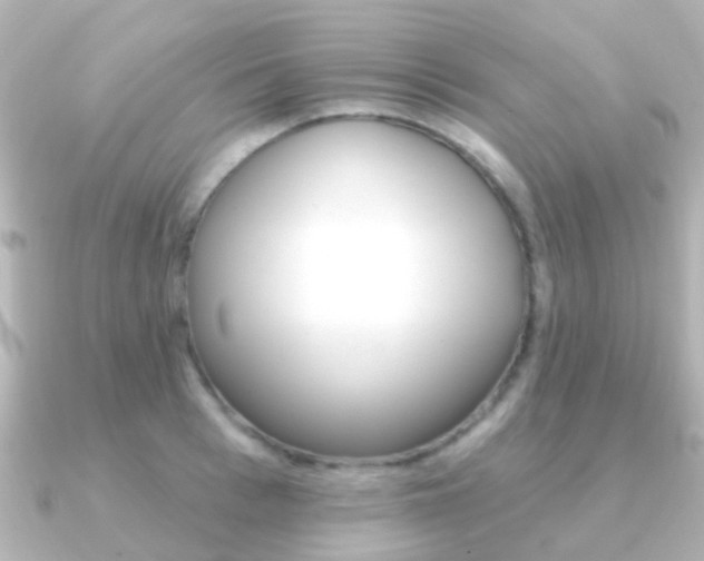 X0000091330993200708100958