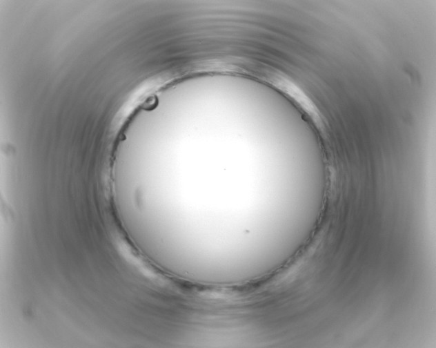 X0000091330994200708100958