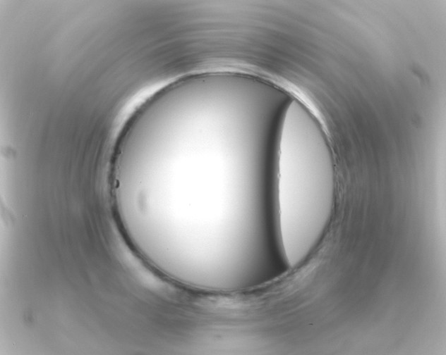 X0000091330995200708100958