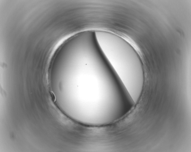 X0000091330996200708100958