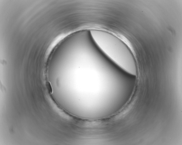 X0000091330997200708100958