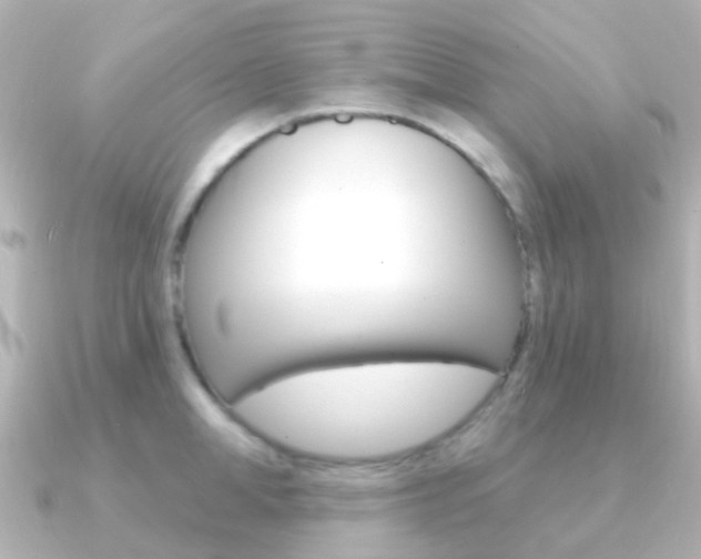 X0000091330998200708100958