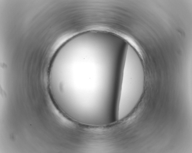 X0000091330999200708100958