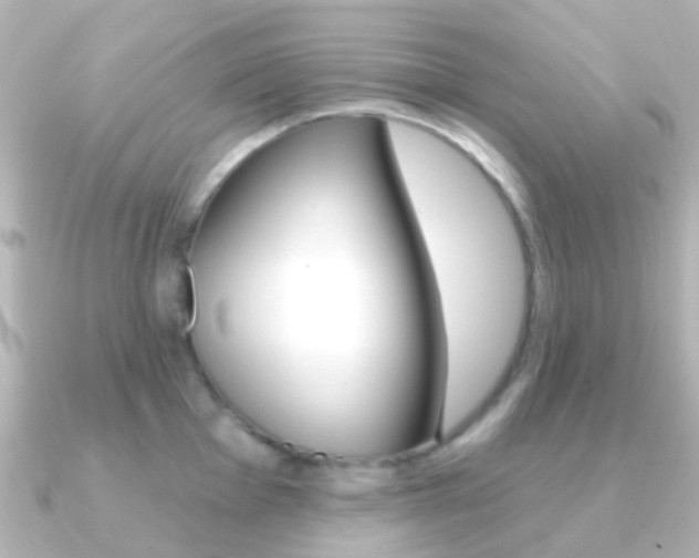 X0000091331001200708100958