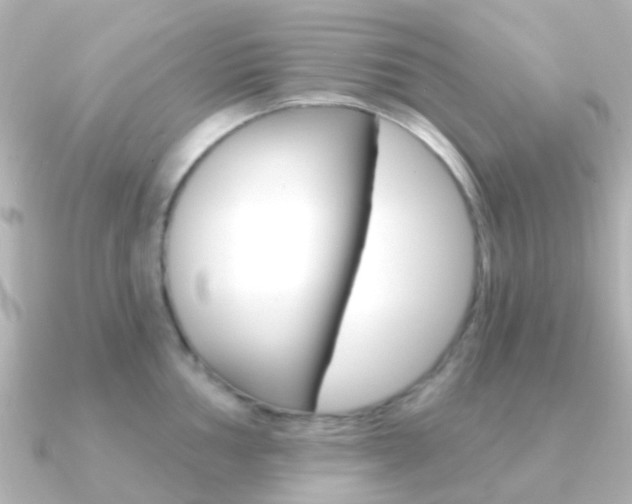 X0000091331002200708100958
