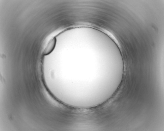 X0000091331003200708100958