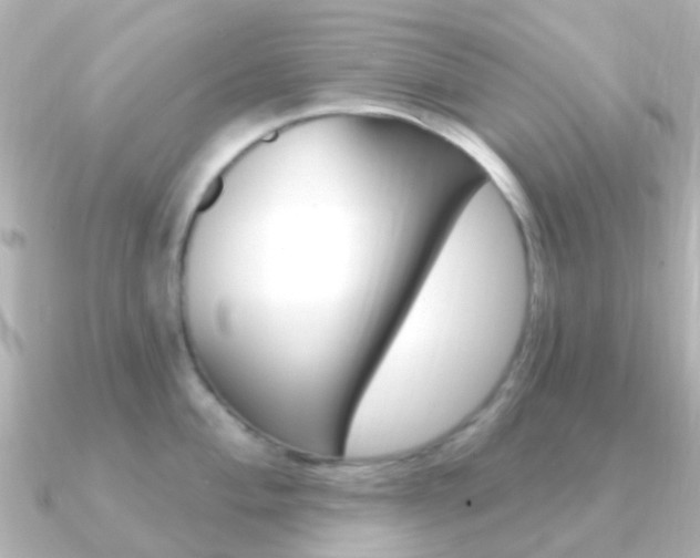 X0000091331004200708100958
