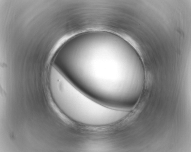 X0000091331005200708100958