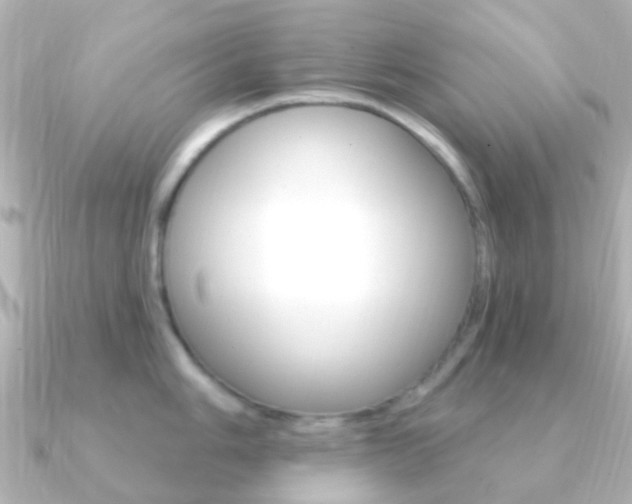 X0000091331006200708100958